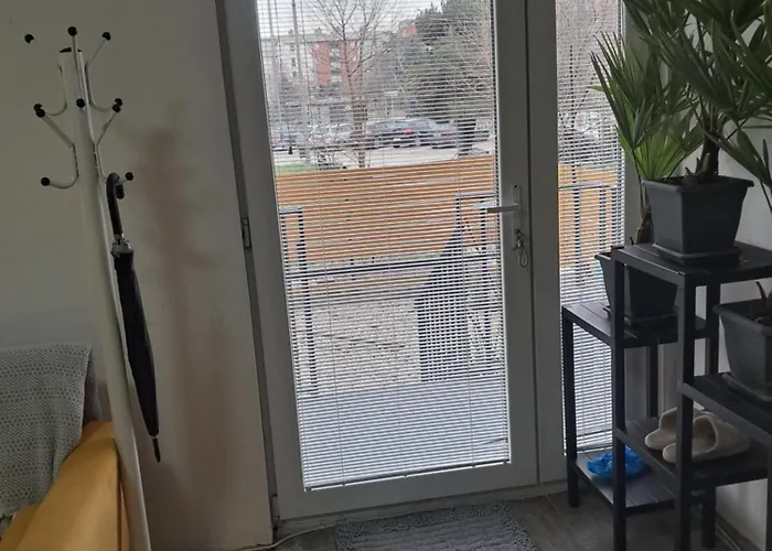 Apartment With Yard On The River